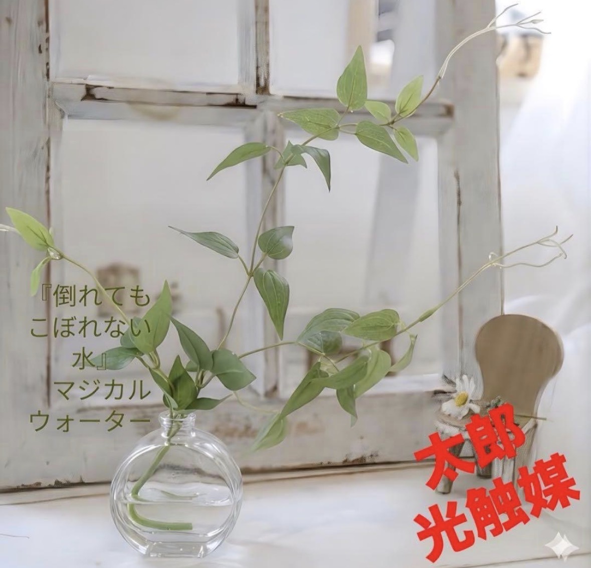 光触媒 人工観葉植物 ウォールグリーン フェイクグリーン フィカス