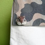 ちびちびシマリス ピンバッジ 羊毛フェルト