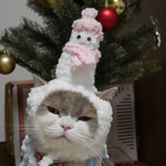 ☃️スノーマン☃️
