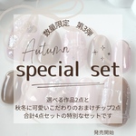 秋冬のspecial set  ネイルチップ