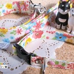 水彩画風フラワー柄の首輪とリードセット（中型犬用）