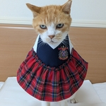 猫学園制服レッド