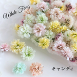 キャンディ✡かすみ草◆ドライフラワー　花材