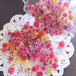 残り2点♡かすみ草ドライフラワー