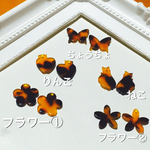 <5種類 各2個 計10個> べっこう風パーツセット③ ちょうちょ りんご ねこ フラワー①② 穴あり