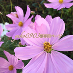 yuko0903様専用ページ