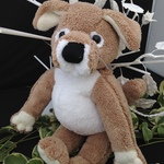 犬（わんころわんちゃん）