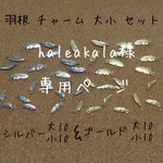 ＊haleakala様専用ページ＊