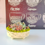 多肉植物_リメ缶ワイヤーアレンジ寄せ植え
