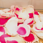 フラワーシャワー×青みピンクmix   花びら70枚