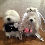 オールドイングリッシュシープドッグの新郎・新婦 / ウェルカムドール　わんわんフリー　
