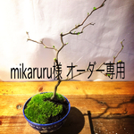 mikaruru 様専用