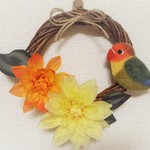 ルリコシボタンインコのリース