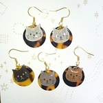 愛猫&べっこうピアス。
