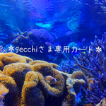 ＊gecchiさま専用カート＊