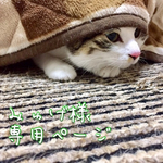 みゅげ様専用ページ