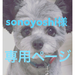 sonoyoshi様専用ページ