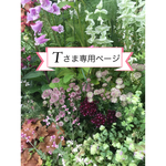 Tさま専用ページ