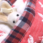 🎄　6重ガーゼケット　🎄（レッド）