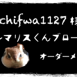 chifwa1127様 オーダーメイド 「シマリスくんブローチ(小屋型BOX付き)」