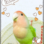 n様専用ページ✧*。