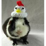 にわとりさん鏡もち🐔