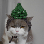 🌲クリスマスツリー🎄