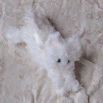 トーティしろこねこ "Nov 9" / tortoi white kitten "Nov 9"
