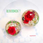 bloooomin'ブローチ ：holiday season    　　     ！注意！写真右側の大きい方は1200円です！