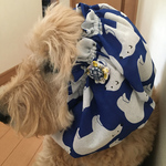 わんちゃんのスヌード　大型犬