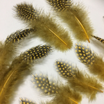ホロホロ鳥 羽 ゴールドイエロー 10枚セット 5-10cm 金具付き
