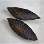 ミニチュア陶器☆和食器☆蚊帳目　葉形皿　鉄黒