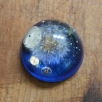購買部176：星の種　fig.1　３