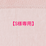 【S様専用】月夜のラクダ・ドロップ・ピアス
