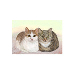 ぬくもり。　猫　ポストカード２枚セット。　