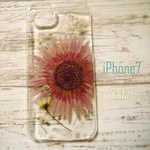 押し花iPhoneケース/ガーベラ＆カスミソウ