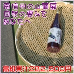 信州山葡萄ジュース【山葡萄果汁】