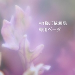 ＊ｎ様ご依頼品専用ページ