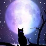 aaa25様専用ページ