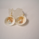 シェルピアス