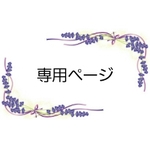行楽弁当箱～四角二点～