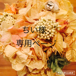 ちい様専用ページ