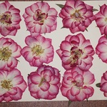 押し花商品【キャロル】