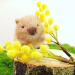 まったりウォンバット　