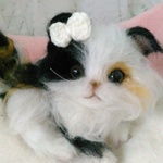 スコティッシュフォールド猫ちやん