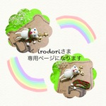 こちらは「irodoriさま専用ページ」になります