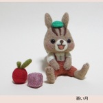 リスの男の子