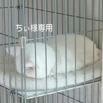 ちぃ様専用ページ