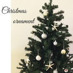 ヒトデとシェルのオーナメント .｡.:*☆