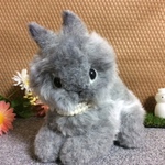 ライオンヘッドのleoちゃん